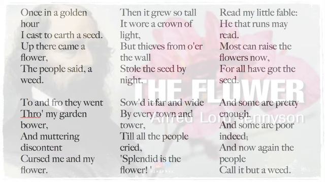 "The Flower", poem by Tennyson - set to music by Daniel Frank/Rusty Flores смотреть онлайн