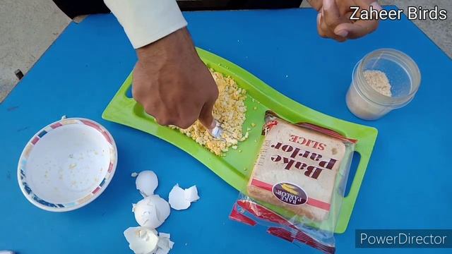 How to Make Best Egg food for finches, java, dove, cocktail and other birds | Prepare | Zaheer bird смотреть онлайн
