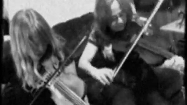 Them.MOV смотреть онлайн