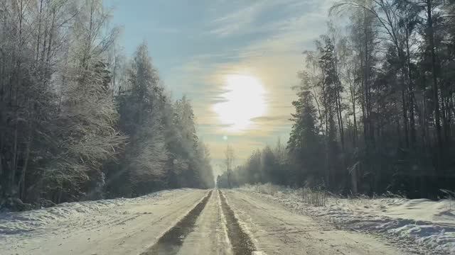 Зимняя дорога, зимний лес