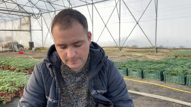 Максимальная еСи раствора по культурам смотреть онлайн