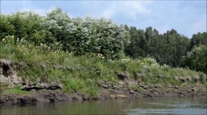 #Чулым река Чулым Назаровский район