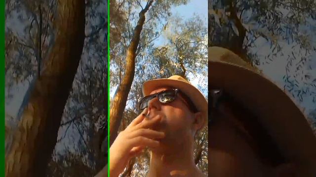 А у реки, а у реки, гуляют девки гуляют мужики смотреть онлайн