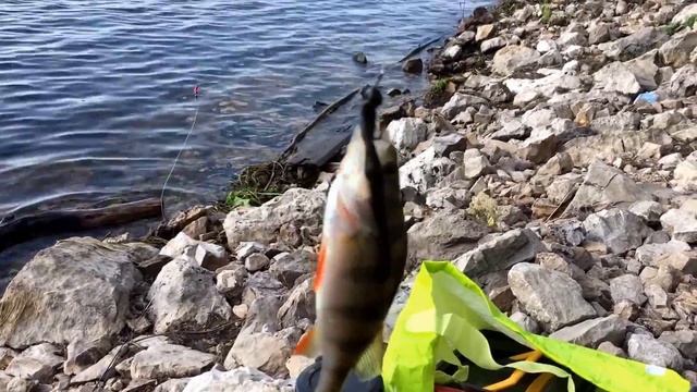 На Волге на пиявку. смотреть онлайн