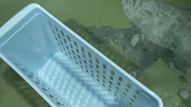 ?СВЕТОФОР РАДУЕТ НАС?НОВОЕ ? смотреть онлайн