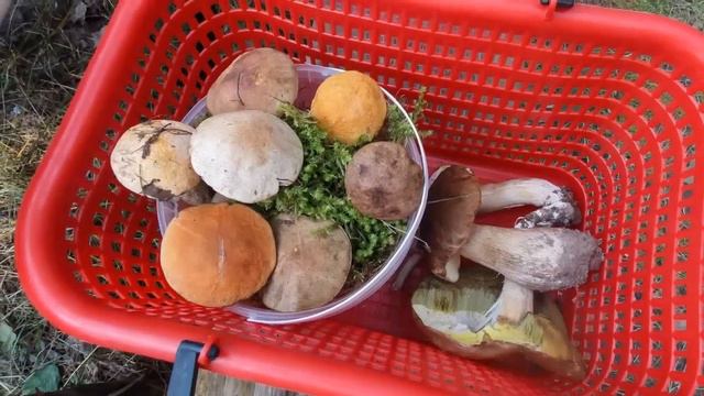 отдых на Павловке смотреть онлайн