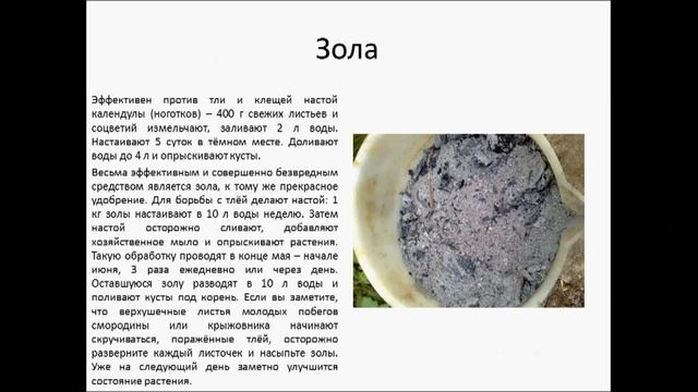 Мыло в борьбе с вредителями растений смотреть онлайн