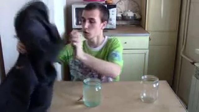 Как проверить мембрану
