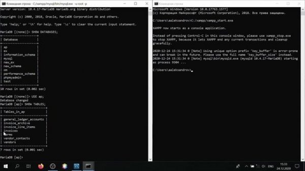 Запускаем через командную строку/терминал MySQL