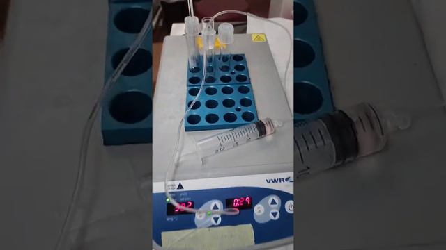 What is IVF follicle flushing and does it get more eggs? смотреть онлайн