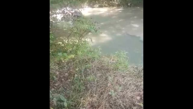 Экскурсии на квадроциклах в Дагомысе цены тел 89890898081 смотреть онлайн