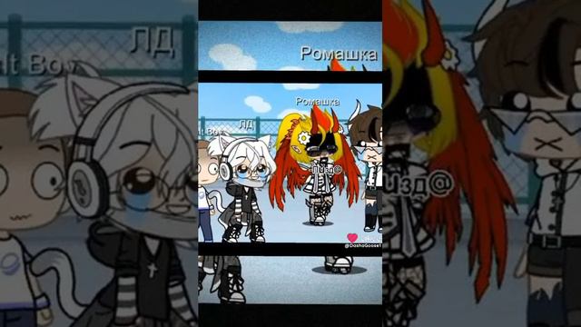 Like_7407415096357908755.mp4