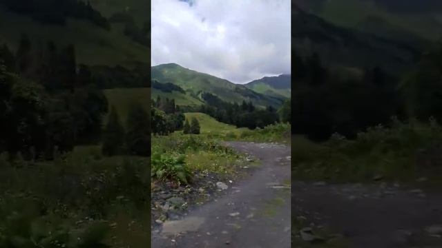 Альпийские луга смотреть онлайн