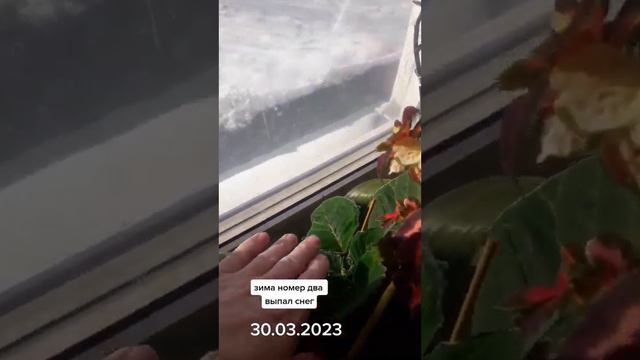 зима номер два смотреть онлайн