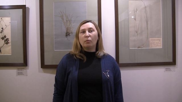Миниэкскурсия по выставке "Живописная ботаника" смотреть онлайн