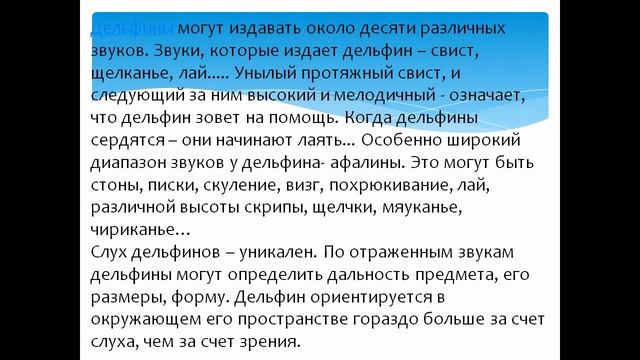 Презентация Дельфины смотреть онлайн