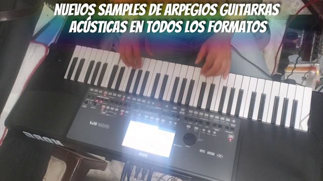 Proximamente nuevos samples de Arpegios y Rasgeo para Guitarras acusticas korg pa600 700 900 1000