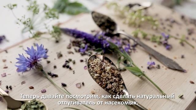 Защитный спрей от насекомых своими руками из растворимого кофе. Домашний отпугиватель от комаров. смотреть онлайн