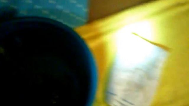 Как правильно помыть черепашку.