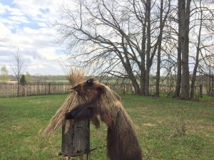 Пчеловодство_с_нуля._Часть_четвёртая.