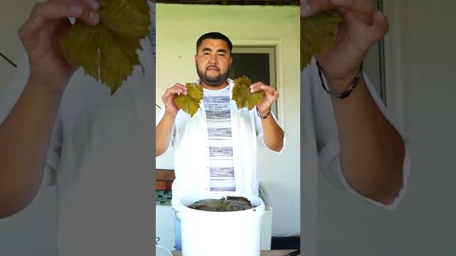 Рецепты на каждый день с Ариной