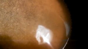 Мультиварка #Redmond Готовим рис