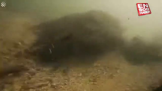 7 метровый анаконда смотреть онлайн