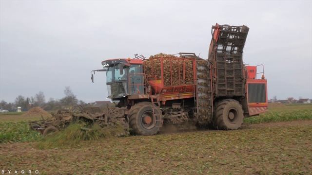 Уборка сахарной свеклы / HOLMER Terra Dos T2 / смотреть онлайн