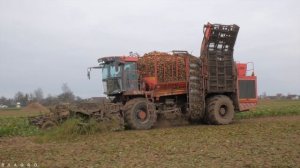 Уборка сахарной свеклы / HOLMER Terra Dos T2 /