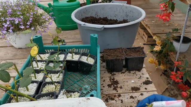 Стройка с Вами