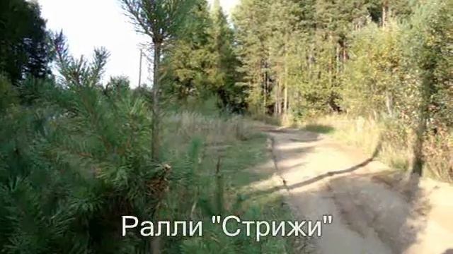 Стрижи 00010 смотреть онлайн
