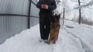 Мартин учится приходить в основное положение.