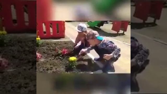 Финансовая грамотность в детском саду смотреть онлайн