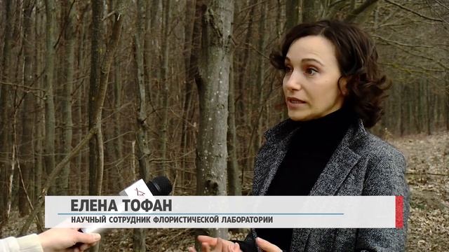 Незаконная продажа редких цветов смотреть онлайн