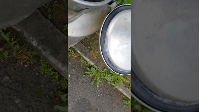 #ФЛЯГАМОЛОЧНАЯ #АЛЮМИНИЙ #ГОСТ смотреть онлайн