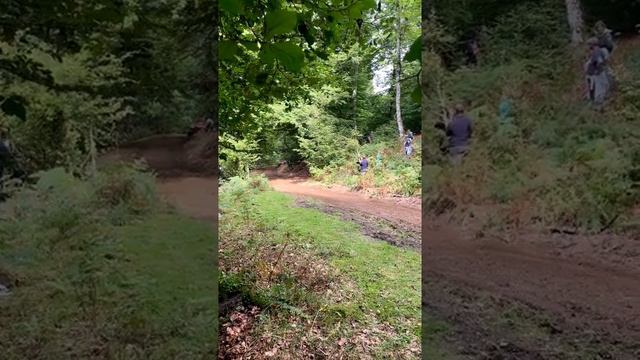 Маленький лев с питанием от Dorito.mp4 смотреть онлайн