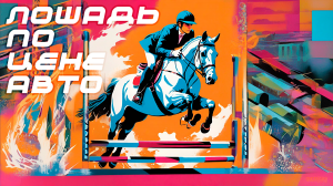 Конный спорт / СПОРТОПЫТ / Как выглядит первая тренировка по верховой езде