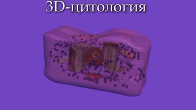 3D-медицина новые форматы.avi смотреть онлайн