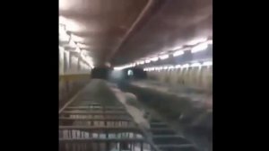 ПОЗАКРЫВАЛИ П*ЗДАКИ