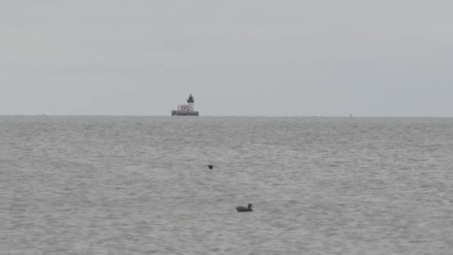 Diver Duck Hunting on Lake Erie смотреть онлайн