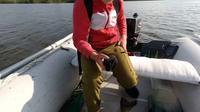 Rapala X-Rap Jointed Shad 13 и новый рекорд по щуке. смотреть онлайн