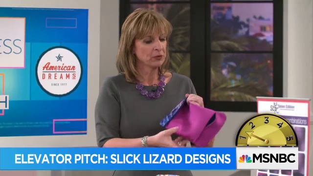 HSN Elevator Pitch: Slick Lizard Designs by OPEN Forum смотреть онлайн