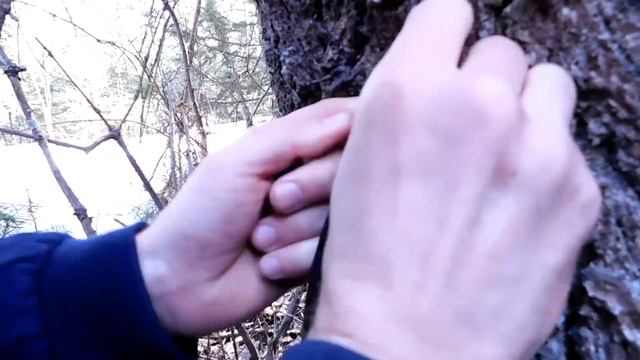 Доброе дело пошли в лес и кого мы там встретили???  / Судьба человека / Слово пацана / Вася на сене