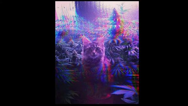 Весенний флешмоб🌺🌸💮🌷 смотреть онлайн