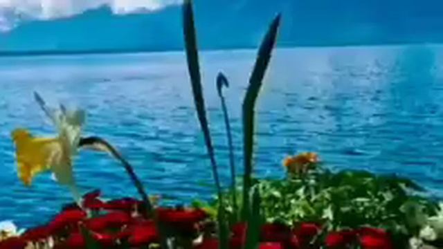 ayatul kursi 4 Qul surah Fatiha (Episode 549) 7 Taims repeat with Arabic Text beautiful (Arsh)#ayat смотреть онлайн