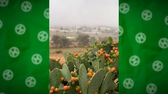 25 Вещей для Тех, Кто Видел Всё смотреть онлайн