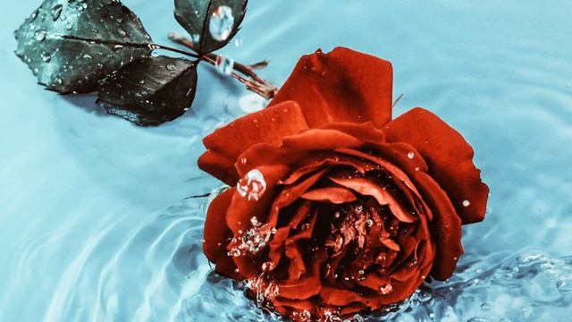 PIANO MUSIC ★︎ Спокійна Музика✨ для Розслаблення, Допоможе✨ Швидко Заснути, ЛІКУЄ НЕРВИ смотреть онлайн