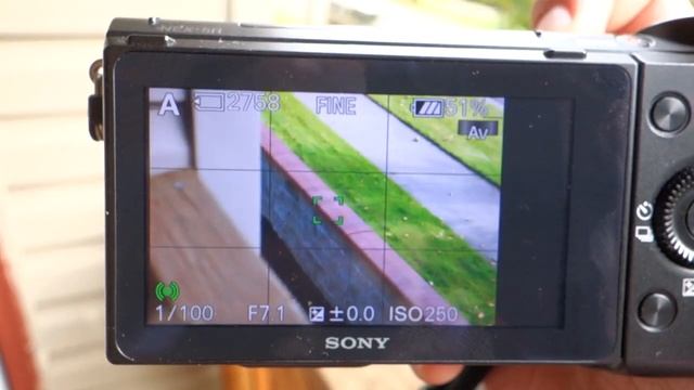 NEX-5R PDAF AF-C and CDAF AF-C comparison смотреть онлайн