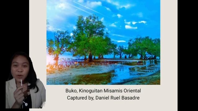 Pecha Kucha смотреть онлайн