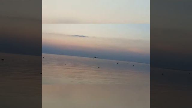 Летний вечер на море смотреть онлайн